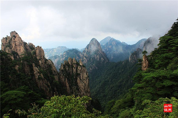 送温处士归黄山白鹅峰旧居